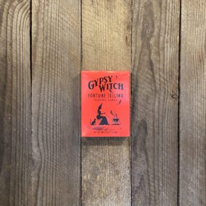 Gypsy Witch Fortune Telling