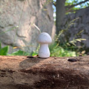 Astorian Svampkristall howlit