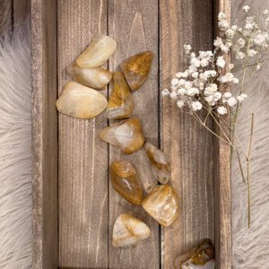 Golden healer trumlad